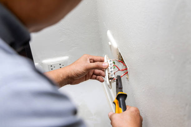 Best Ceiling Fan Installation Electrician  in Greene, IA
